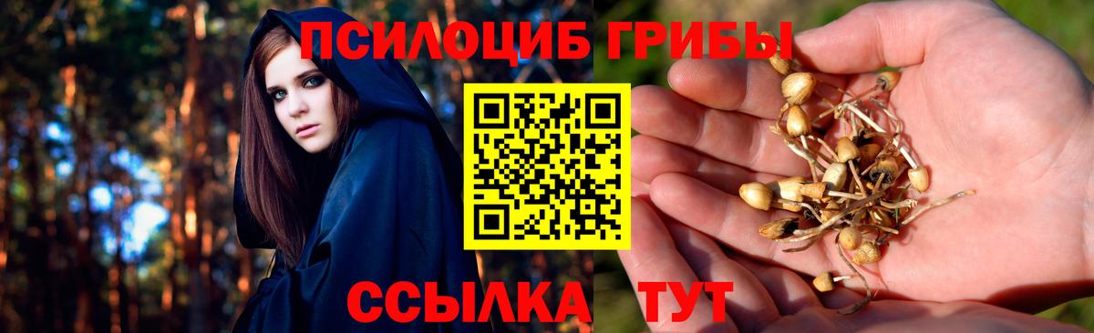 Галлюциногенные грибы мухоморы  Вход с VPN  Галлюциногенные грибы Cubensis  Ленинск-Кузнецкий 
